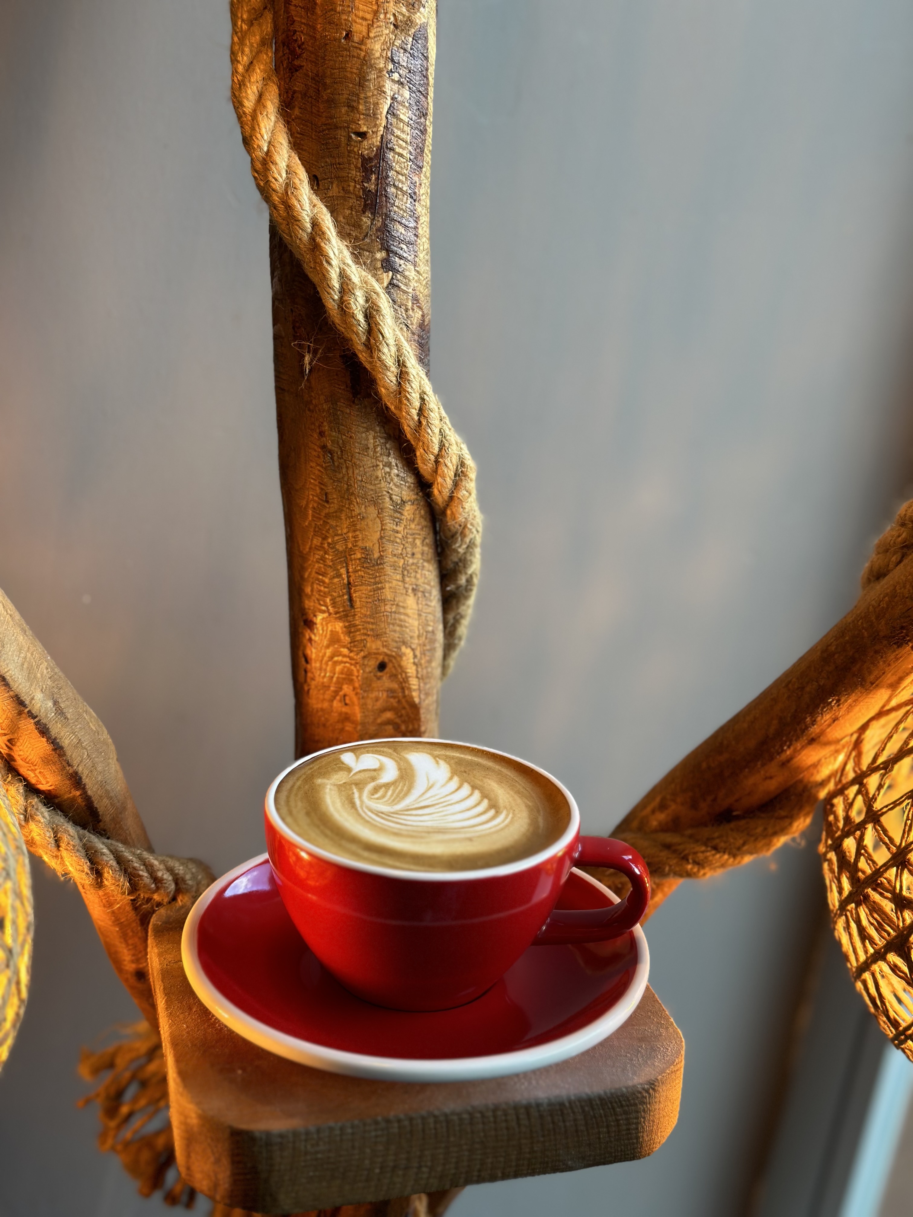 Cappucino